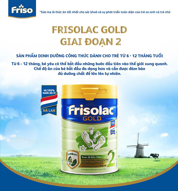 Sữa Bột Friso Gold 2 400g