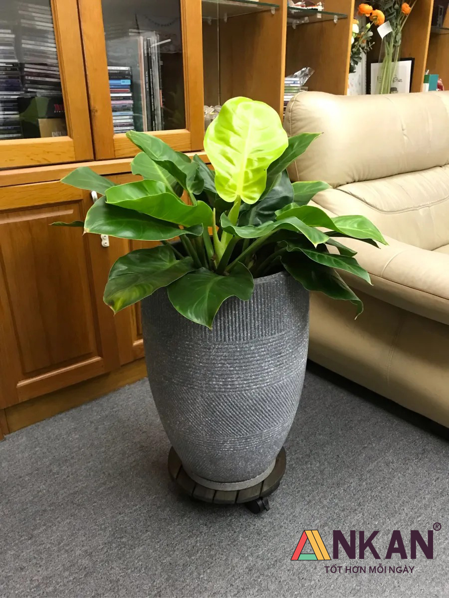 de-lot-chau-cay-co-banh-xe-30cm-mau-den