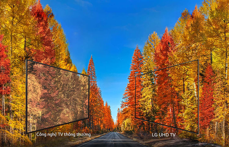 Smart Tivi LG 50 inch 4K UHD 50UK6320 - Hàng Chính Hãng