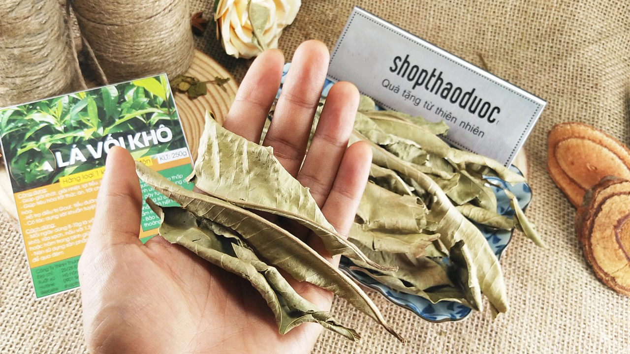 Lá Vối Khô Shop Thảo Dược Gói 250G - Hỗ Trợ Giảm Mỡ Máu, Gout, Thanh Nhiệt, Lợi Tiểu, Đào Thải Độc Tố