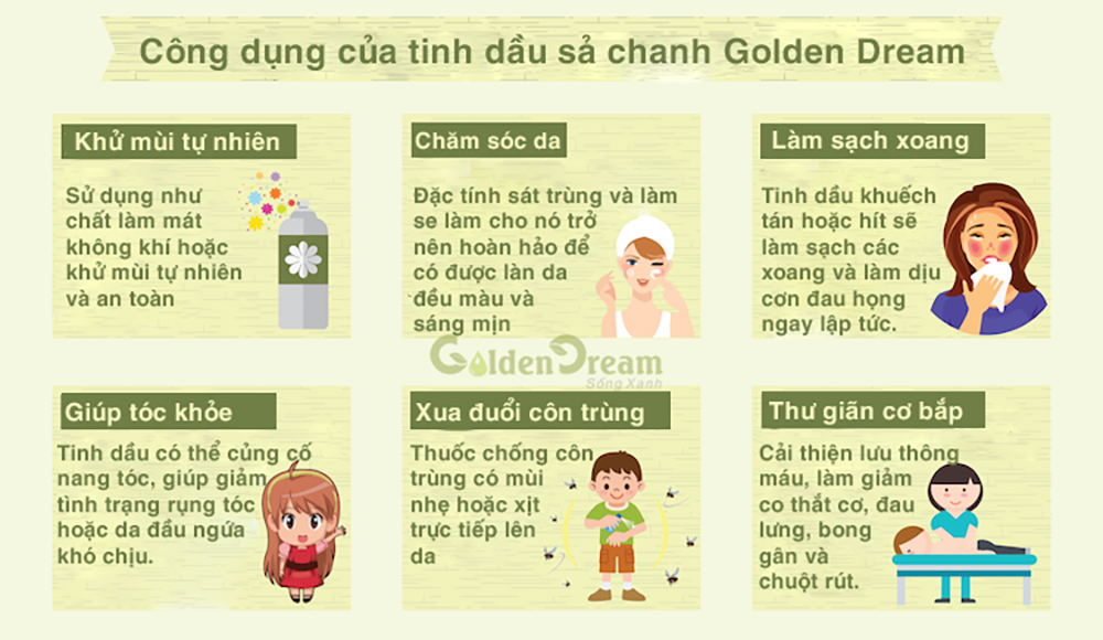 Công dụng của tinh dầu chanh sả Golden Dream