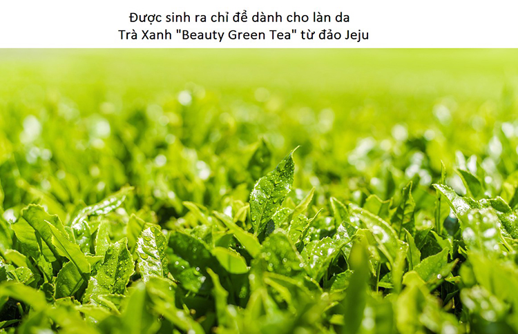 Innisfree Green Tea Seed Serum 80ml