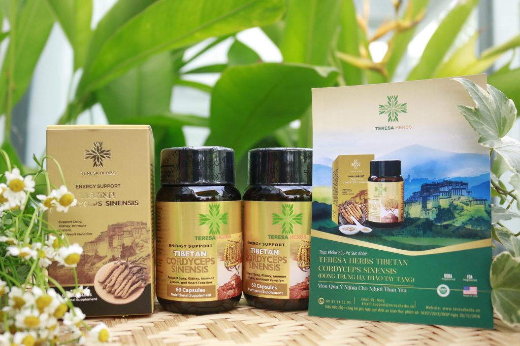Combo 2 hộp Đông Trùng Hạ Thảo Tây Tạng Teresa Herbs: Bổ Thận, Bổ Phổi, Bổ Tim, Tăng Cường Đề Kháng 60 viên