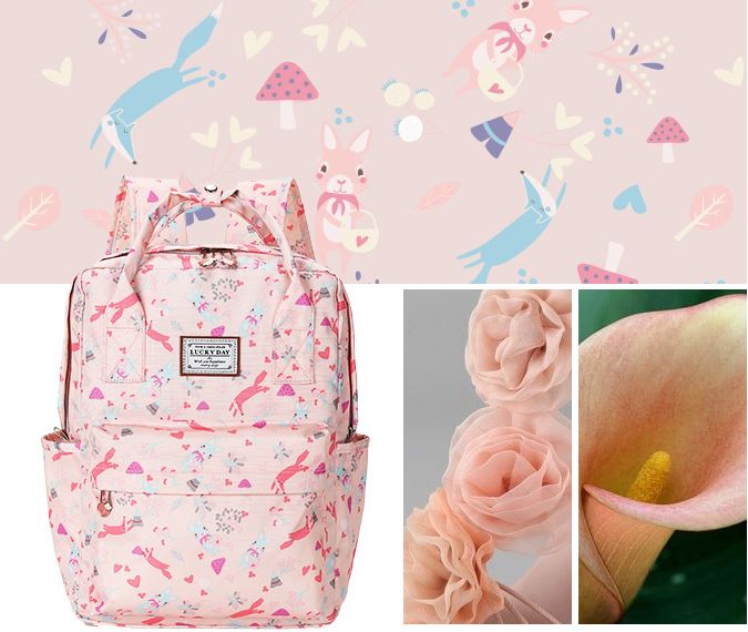 Balo Học Sinh Caraya