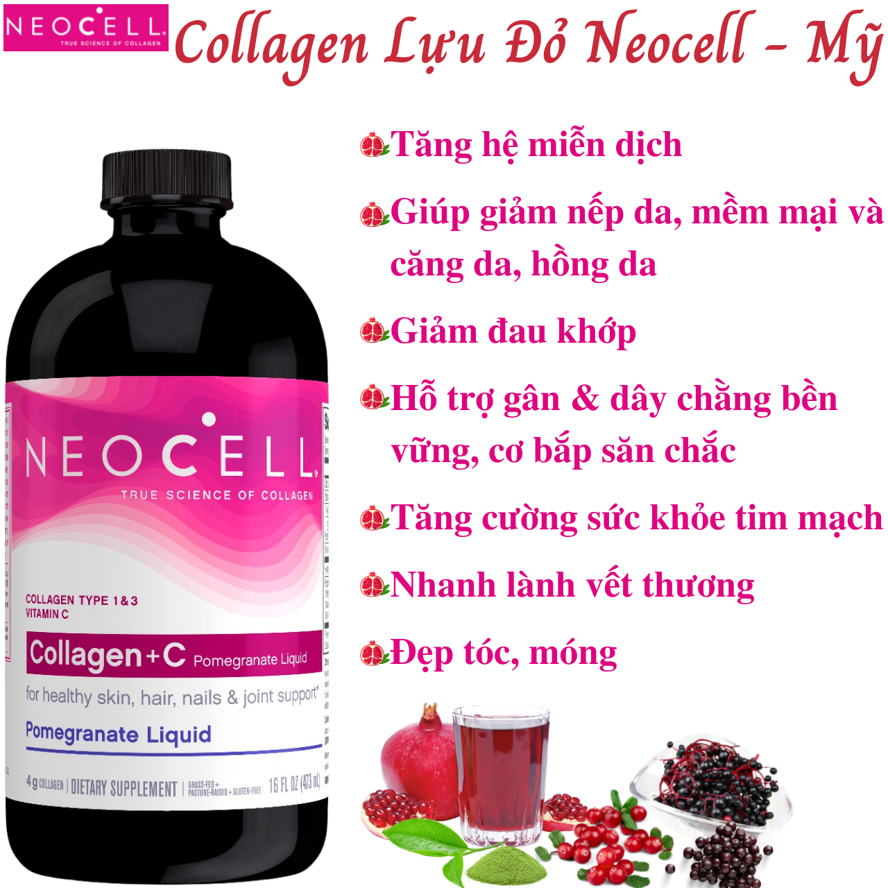 Collagen Uống Dạng Nước Collagen Plus PHARMALIFE Giúp Da Căng Bóng Tươi  Trẻ Ngăn Ngừa Lão Hóa Hộp 10 Ống  Giá Tiki khuyến mãi 1100000đ  Mua  ngay  Tư vấn