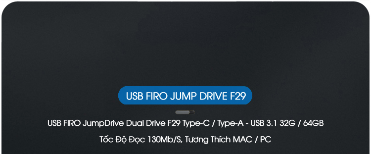 USB FIRO Jump Drive Dual Drive F29