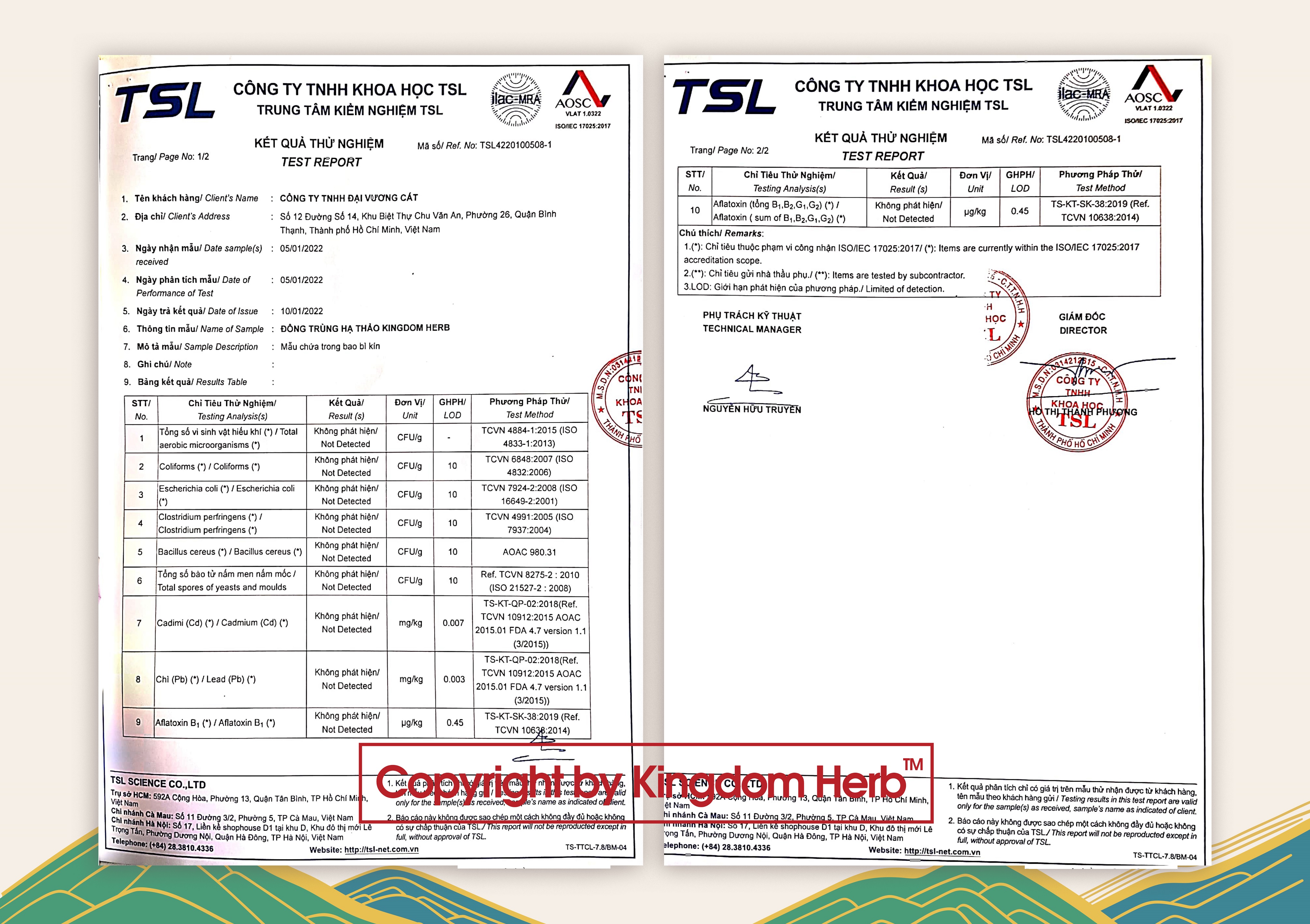 đông trùng hạ thảo sấy thăng hoa