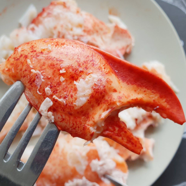 Combo 3 con tôm hùm Alaska Sống Size 500g