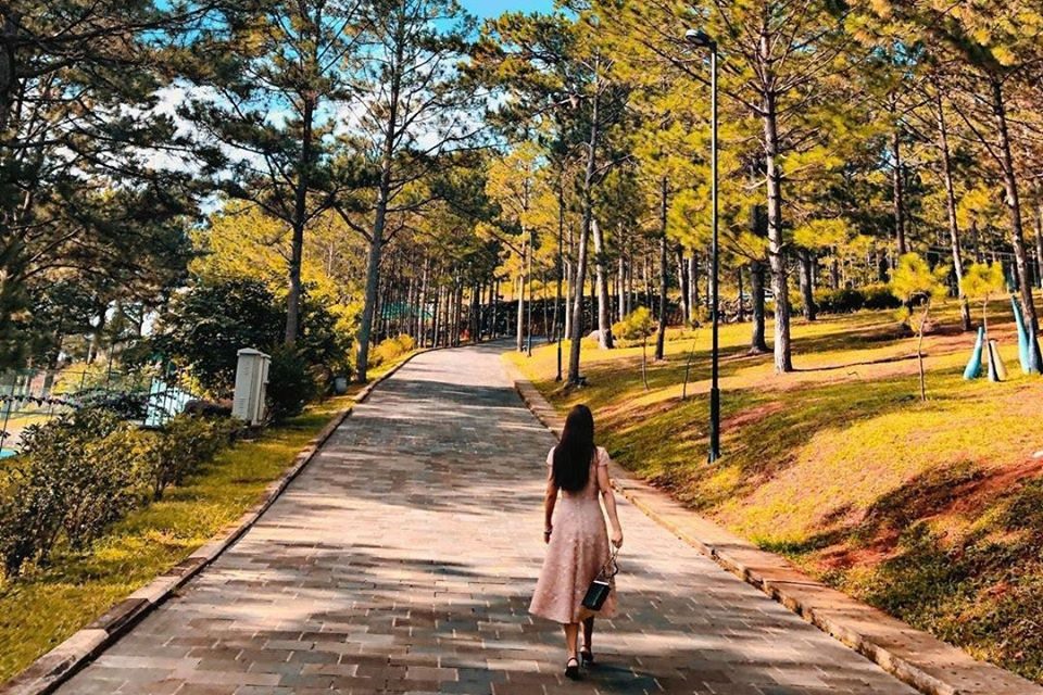 Terracotta Hotel & Resort 4* Đà Lạt - Buffet Sáng, Hồ Bơi, Xe Đưa Đón Trung Tâm, Nằm Bên Hồ Tuyền Lâm Thơ Mộng