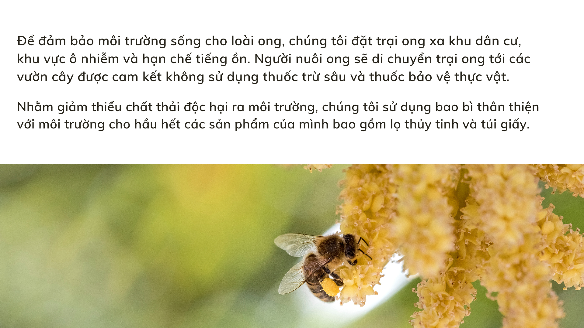 Mật ong nguyên chất Duy Anh Bee 700g 3