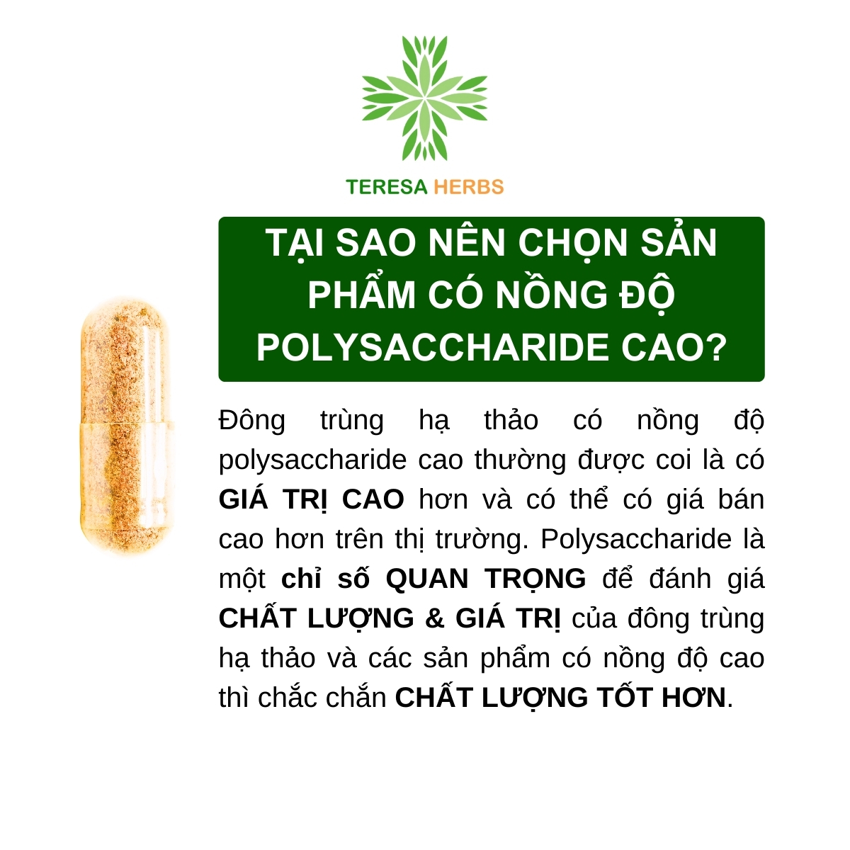 Đông Trùng Hạ Thảo Tây Tạng Teresa Herbs: Bổ Thận, Bổ Phổi, Bổ Tim, Tăng Cường Đề Kháng 60 viên