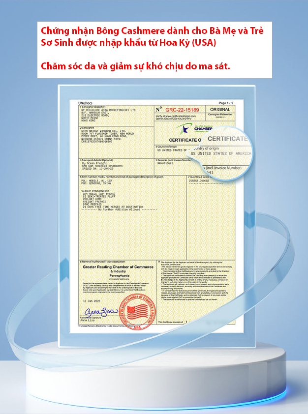 10 cái Tã quần cho chó mèo, băng vệ sinh chó cái,chó đực, mèo cái , mèo đực