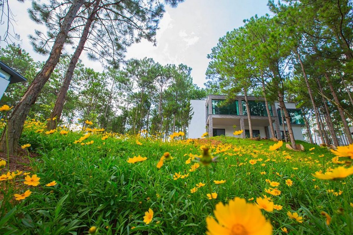 Terracotta Hotel & Resort 4* Đà Lạt - Buffet Sáng, Hồ Bơi, Xe Đưa Đón Trung Tâm, Nằm Bên Hồ Tuyền Lâm Thơ Mộng