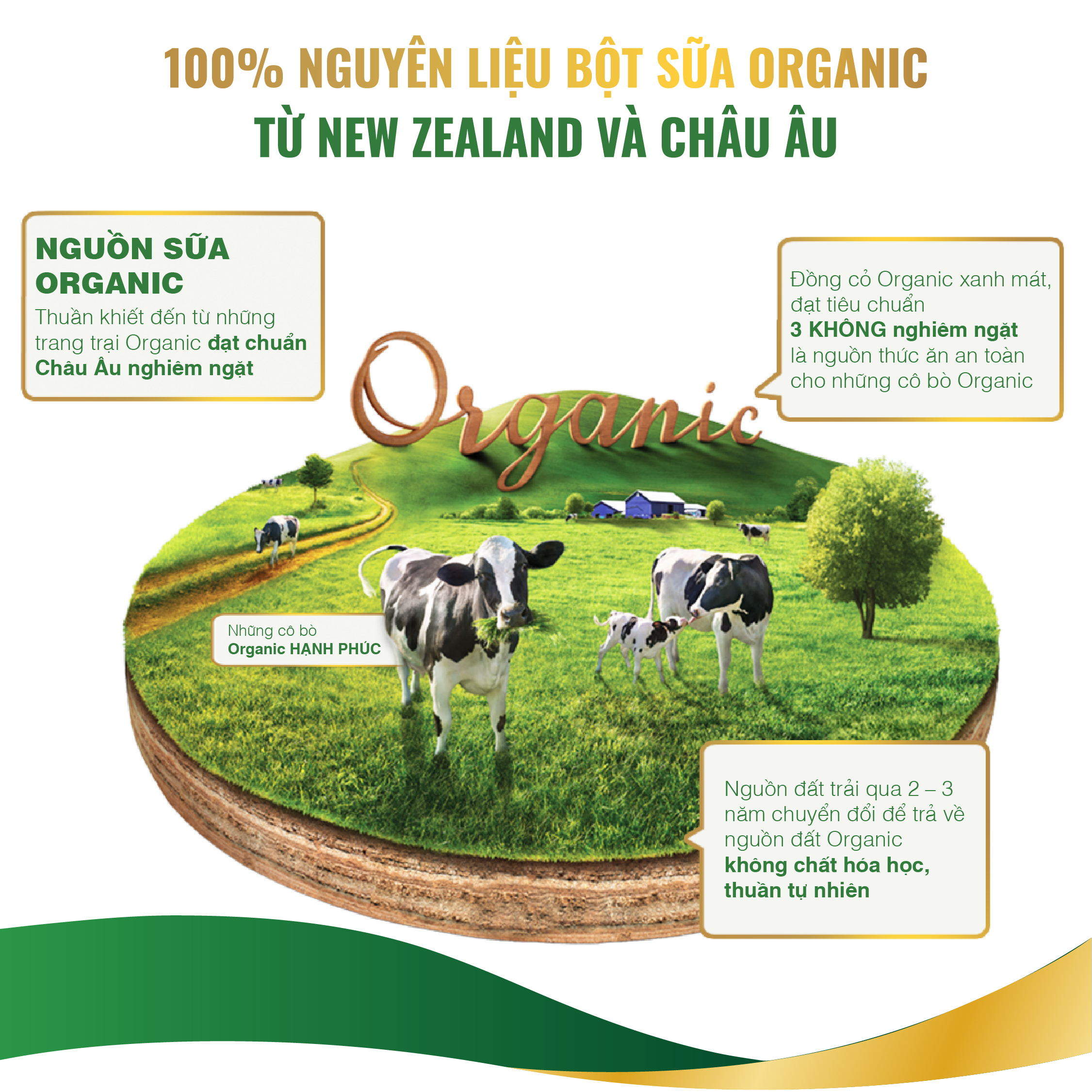 Sữa Bột Vinamilk Organic Gold Step 3 (850g / Hộp Thiếc)