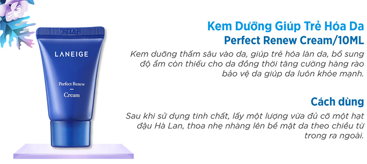 Kem Dưỡng Ngăn Ngừa Lão Hóa Vùng Mắt Laneige Perfect Renew Eye Cream 20ml + Bộ Chăm Sóc Da 3 Món