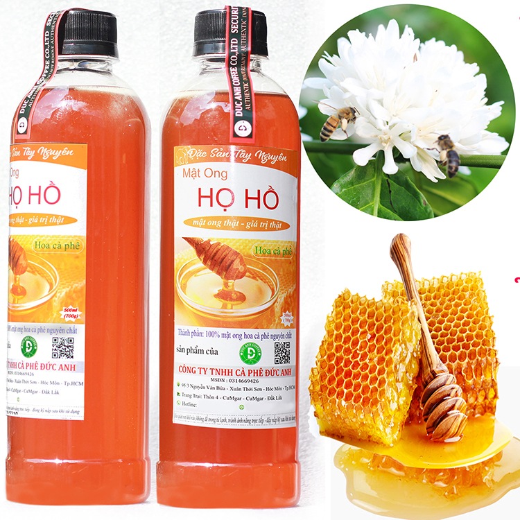 Mật Ong Hoa Cà Phê Nguyên Chất 1L (Lốc 2 chai 500mL) - Mật Ong Họ Hồ Mật Ong Thật - Giá Trị Thật