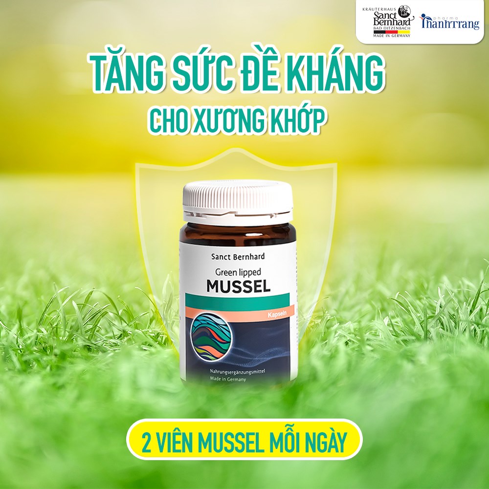 Bổ khớp Mussel chiết xuất vẹm xanh giúp bổ sung dưỡng chất cho khớp, giảm viêm khớp, phòng ngừa thoái hóa xương khớp 3