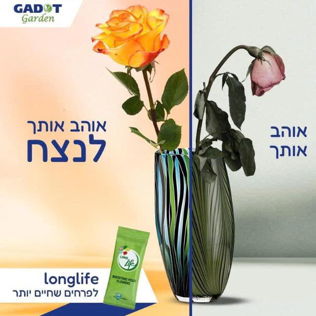 Gói Cắm Hoa Tươi Lâu Gấp 2 Lần Và 14 Ngày Không Thay Nước Loại 5gr Longlife (Bộ 50 gói)