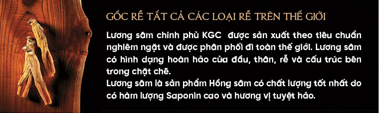 củ sâm