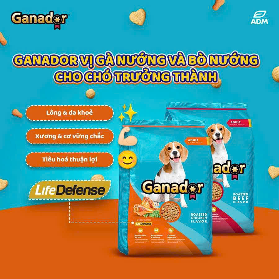 20KG Thức ăn cho chó trưởng thành Ganador vị gà nướng - Ganador Adult Roasted Chicken Flavor