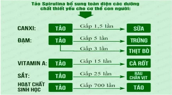 viên uống tăng cường đề kháng, tăng cường sức khỏe - spivilife - combo 3 hộp 100 viên + 1 hộp spivilife 100 viên, bổ sung các vitamin & protein cho cơ thể, chống oxi hóa (chống lão hóa). 2