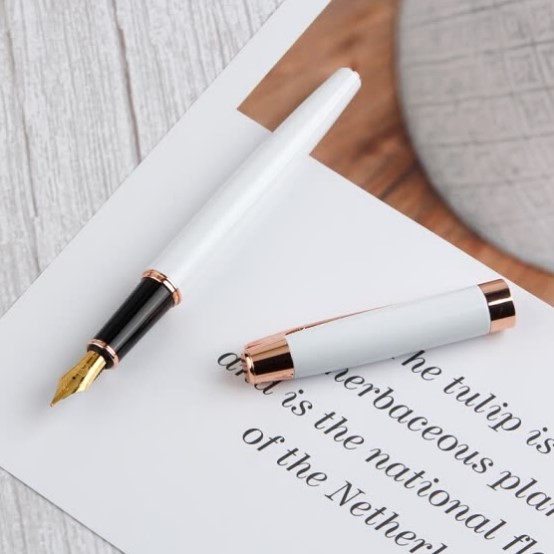 Picasso pen pen pen adult student with calligraphy pen ink pen 0.5mm Fei Diqi series 920 white