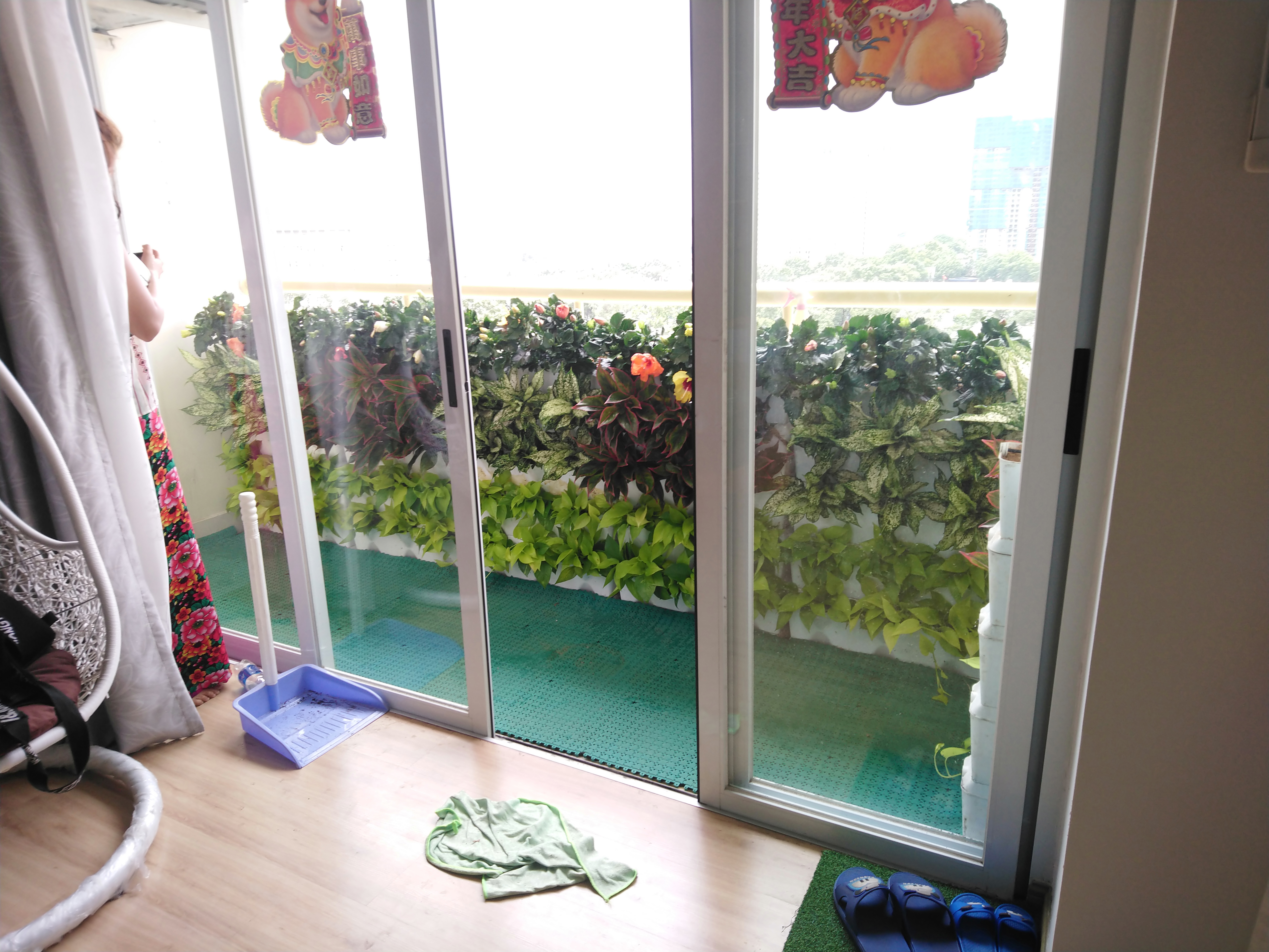 Cây Ban Công Đứng Minigarden