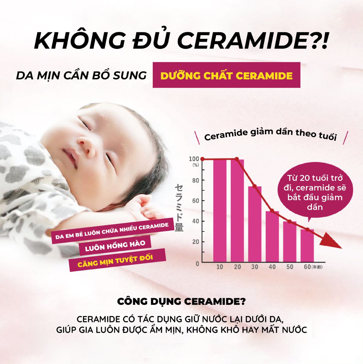 Thạch Bổ Sung Collagen Tăng Cường Bảo Vệ Da AISHITOTO Collagen Jelly Ceramide Plus Vị Acai ( 15 gói hộp) 1