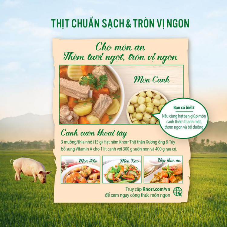 Hạt Nêm Knorr Từ Thịt Thăn, Xương Ống Và Tủy Bổ Sung Vitamin A (1200g) - 32010222