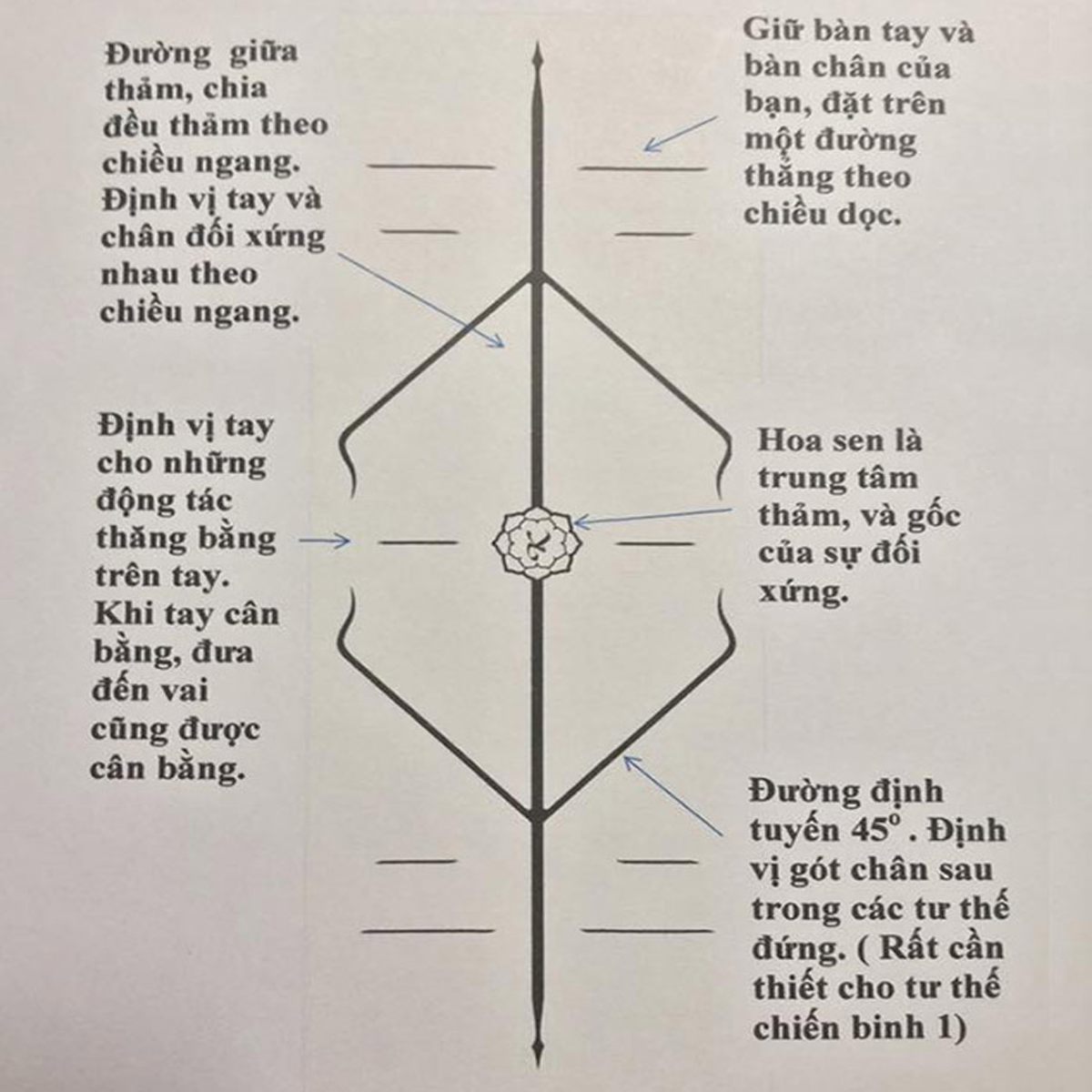 Thảm Tập Yoga Định Tuyến