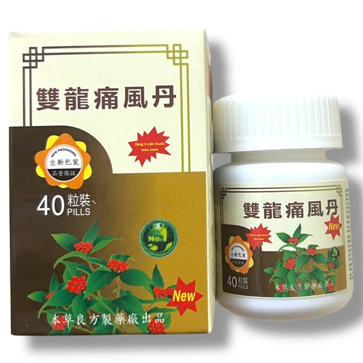 Viên uống đau nhức xương khớp Song long Thống phong đan - Hộp 40 viên - Xuất xứ Malaysia - Mã số 1526