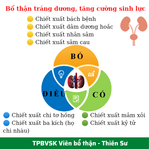 Thực Phẩm Bảo Vệ Sức Khỏe Thiên Sư - Viên Bổ thận - Bổ thận tráng dương tăng cường sinh lực