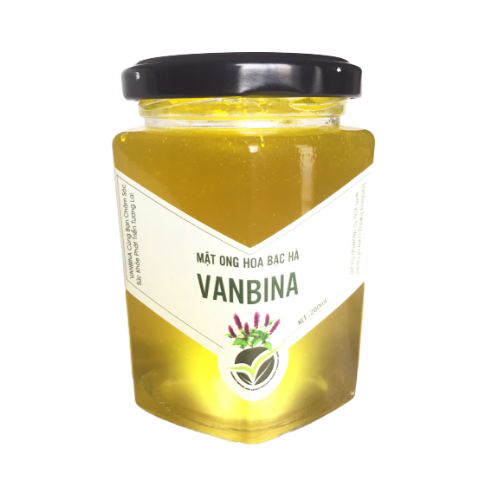 Mật Ong Hoa Bạc Hà Vanbina 280ml - Mật ong từ hoa bạc hà Tây Nguyên sản xuất theo tiêu chuẩn xuất khẩu Châu Âu 1