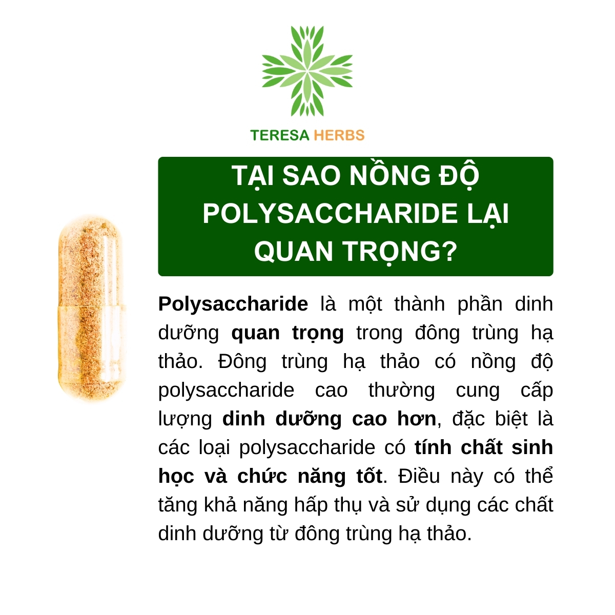 Đông Trùng Hạ Thảo Tây Tạng Teresa Herbs: Bổ Thận, Bổ Phổi, Bổ Tim, Tăng Cường Đề Kháng 60 viên