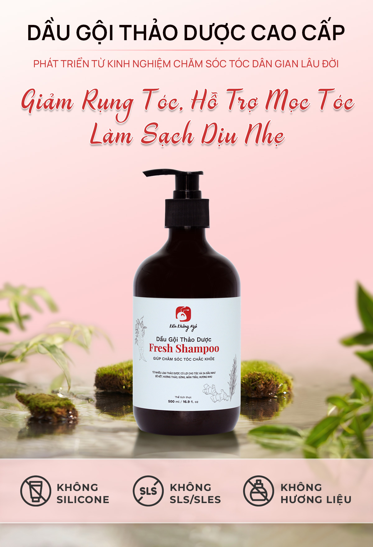 Dầu gội thảo dược Fresh Shampoo giảm rụng tóc, giảm gàu, nuôi dưỡng tóc mềm mượt và chắc khỏe từ gốc 500ml