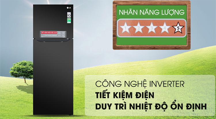 Tủ Lạnh Inverter LG GN-D315S (315L) – Hàng Chính Hãng