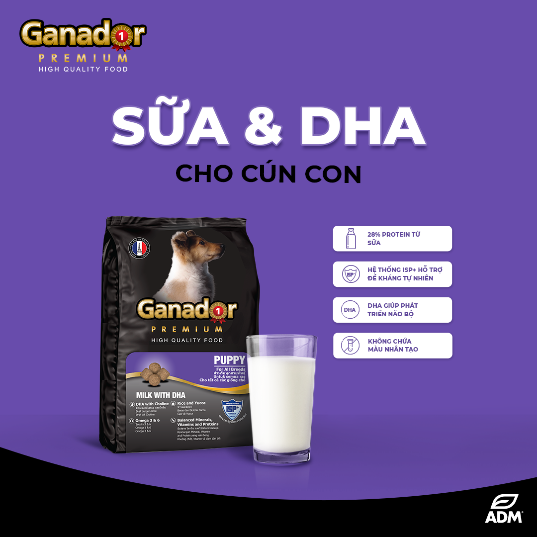 Thức ăn cho chó con Ganador vị sữa & DHA Milk with DHA 10kg - Tặng 2 khẩu trang