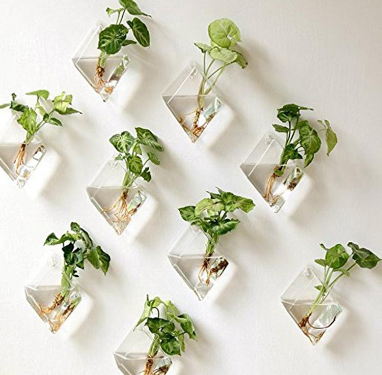 Creative Wall-Hanging Glass Vase for Hydroponic Plants Home Office Decoration Gift