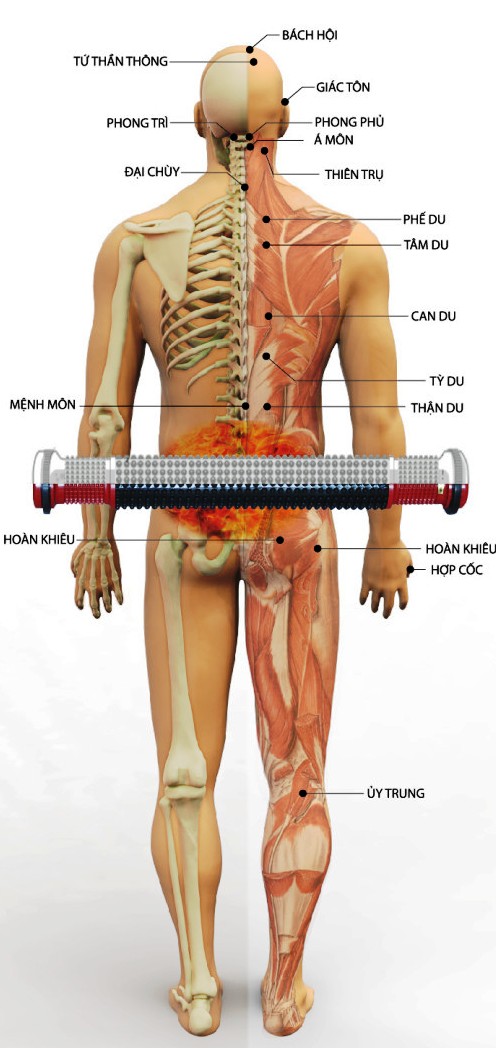 Con lăn cột sống Doctor100 Năng lượng - Doctor100 Nhiệt lõi đá thạch anh