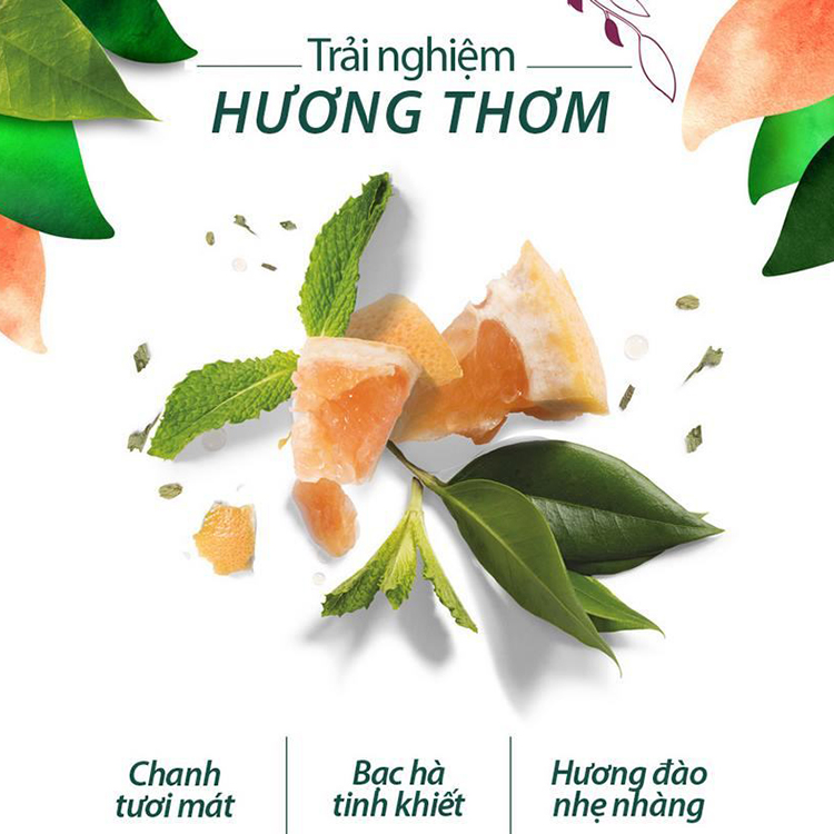 Dầu Xả Herbal Essences Bưởi Và Bạc Hà (400ml)