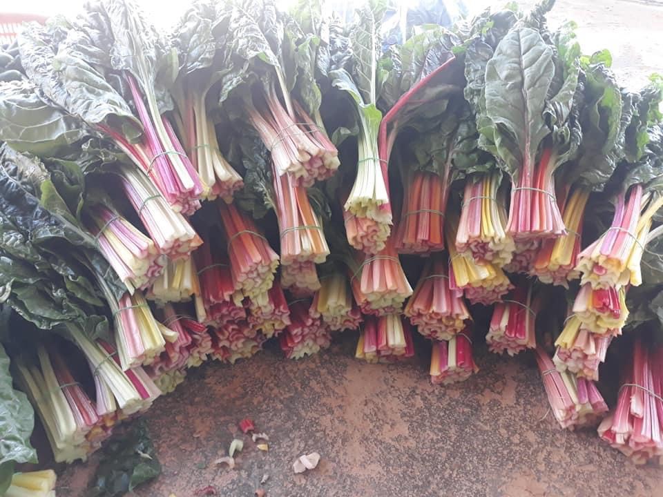 Rau Tươi Đà Lạt Cải Cầu Vồng Bó 500 Gram