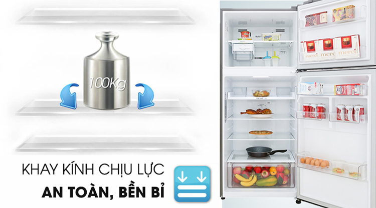 Tủ Lạnh Inverter LG GN-M422PS (393L)