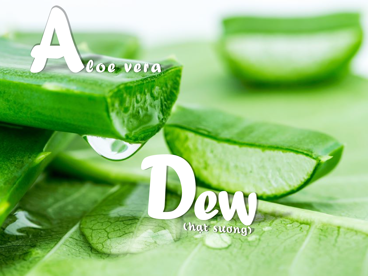 nước trái cây thơm nha đam a-dew