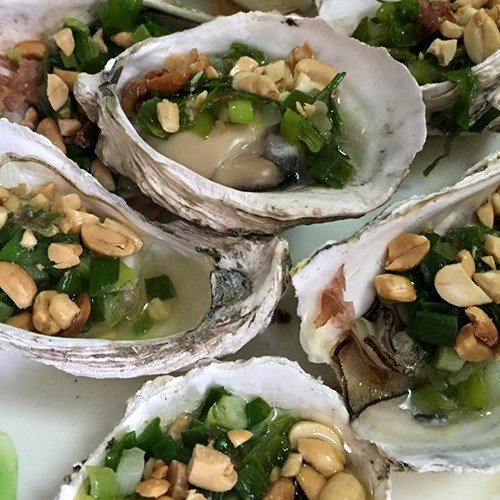 Hàu Sữa Pháp Sống (20 Con)