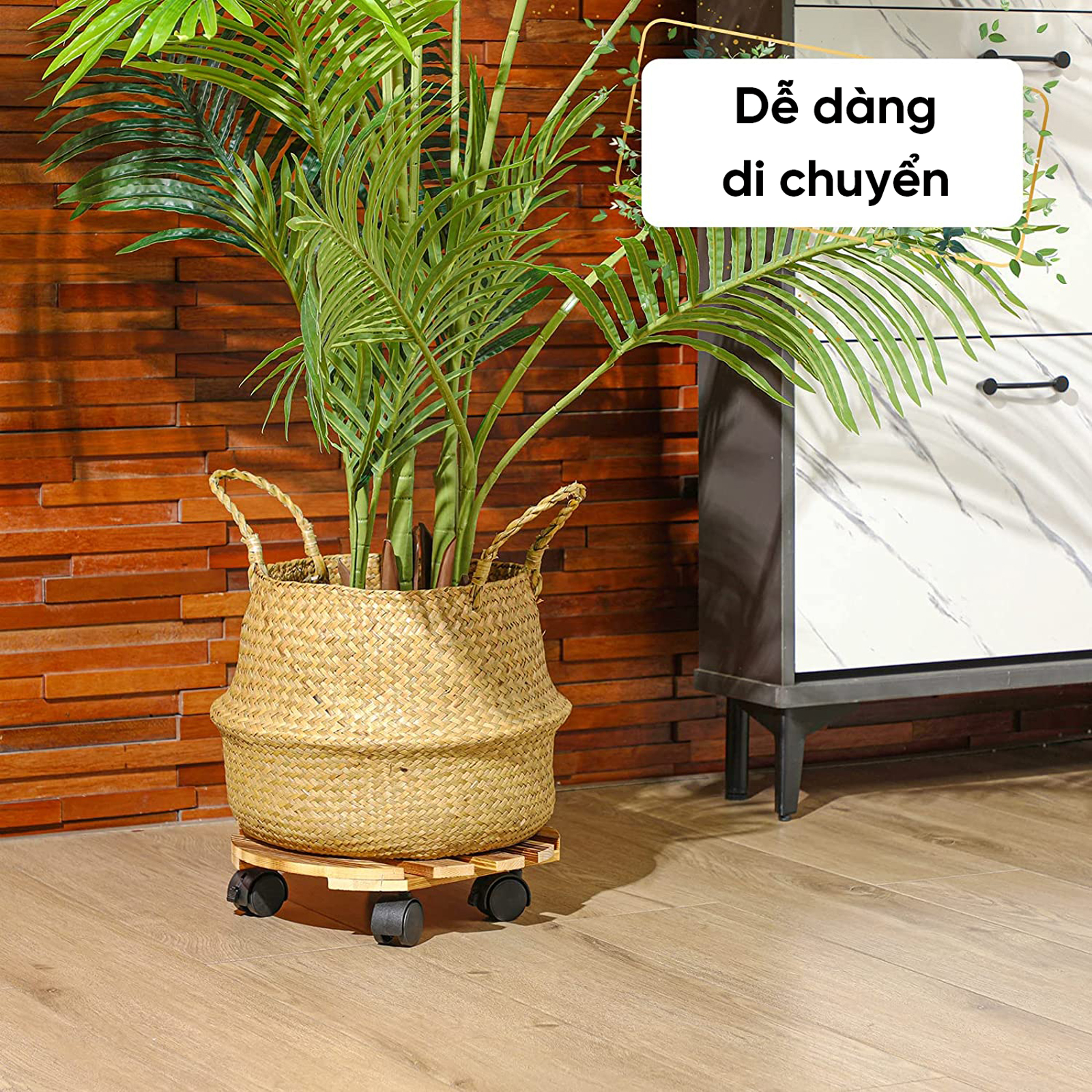 de-lot-chau-cay-co-banh-xe