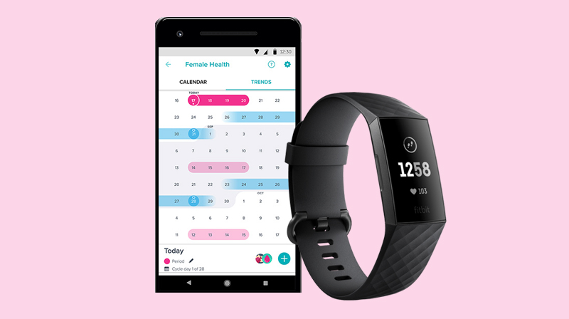 Vòng Đeo Sức Khoẻ Fitbit Charge 3 - Hàng Chính Hãng