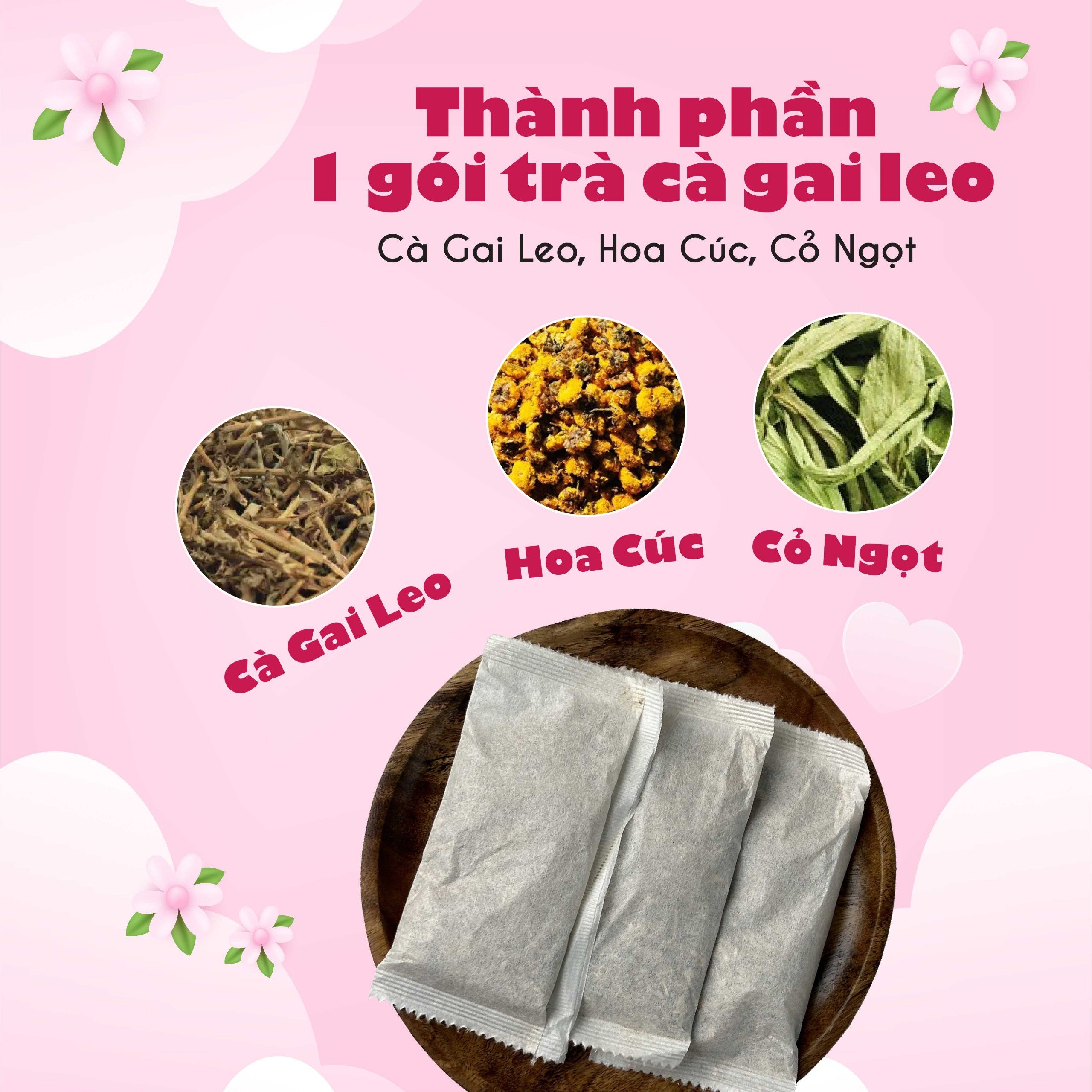 Trà cà gai leo túi lọc cà dây leo của siêu thị thiên nhiên