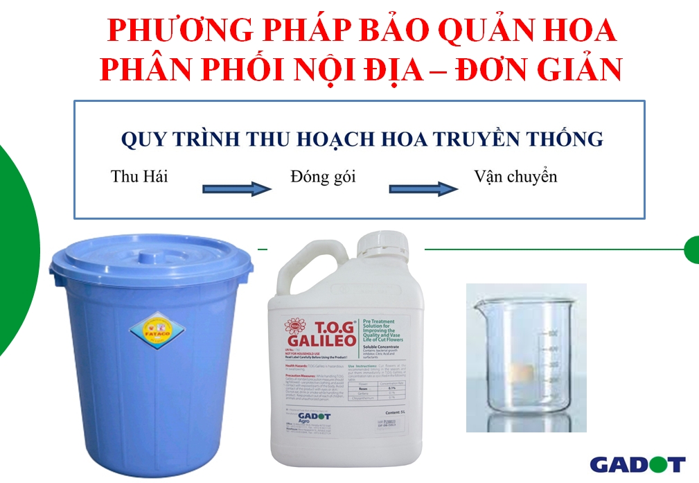 Dung Dịch Xử Lý Hoa TOG Galileo của ISRAEL (Chai 1 Lít) dùng bảo quản hoa cắt cành tươi lâu tại Nhà Vườn Trồng Hoa, Vựa Hoa và Chợ Sỉ Hoa. Tỷ lệ dung dịch 0.1% tức chai 1 Lít TOG pha được 1.000 Lít dung dịch xử lý hoa