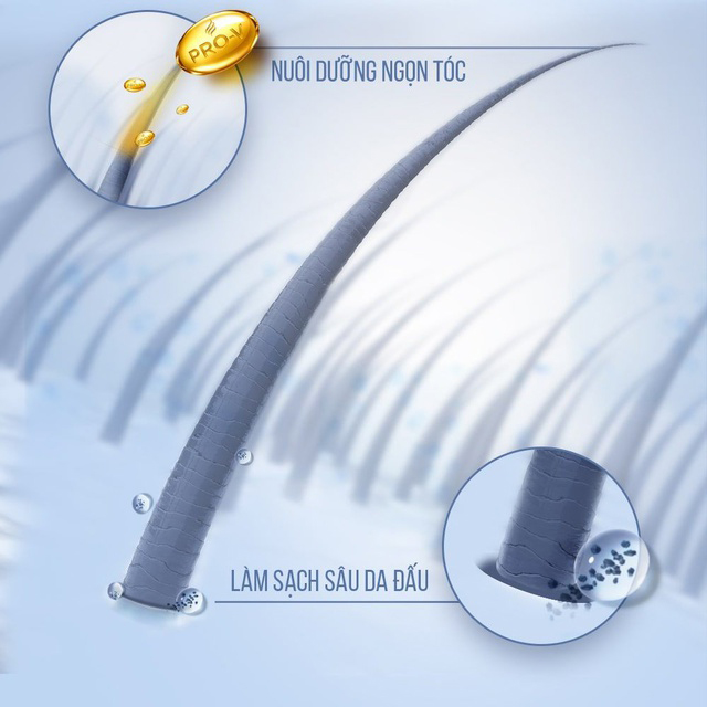 Bộ Đôi Pantene Micellar Hương Tảo Biển (Dầu Gội 530ml + Kem Xả 530ml)