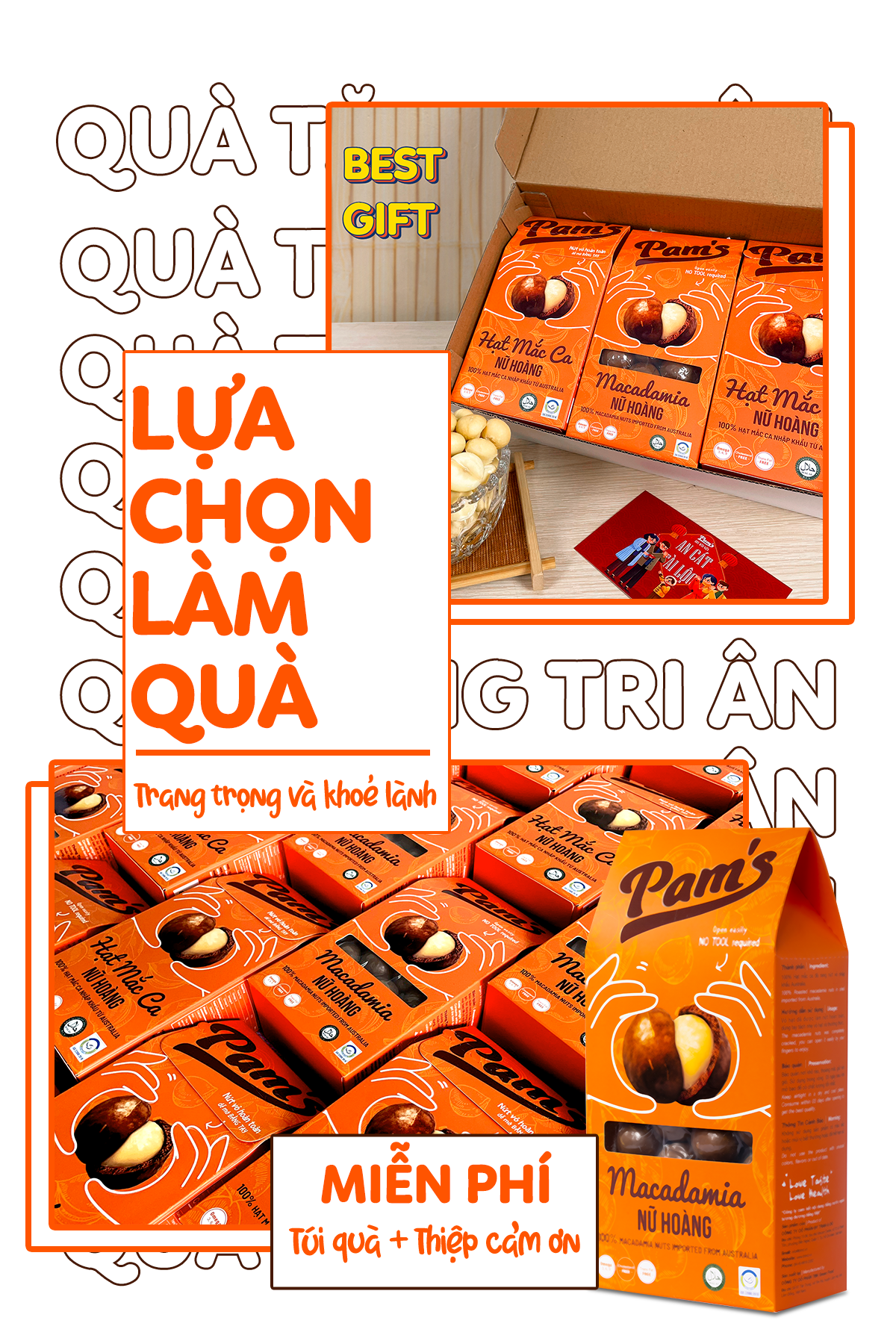 Hạt Macca Nữ Hoàng Size 30-32 Pams 250g/hộp - Mắc ca Úc Giòn Béo, Thơm Ngon, không cần dùng khui hạt